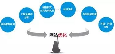 大东区一站式抖音SEO优化公司，到底在优化什么？