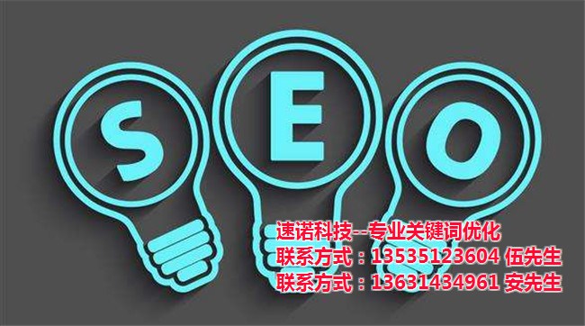 三水SEO搜索引擎优化代理商，选对伙伴，比烧钱更划算