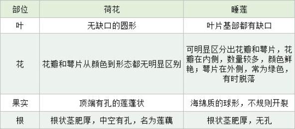 康平一站式抖音SEO优化价位,别被报价单唬住,先搞明白钱花在哪了 康平一站式抖音SEO优化价位,别被报价单唬住,先搞明白钱花在哪了